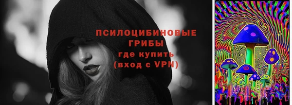 сатива Покров