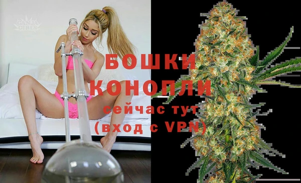 сатива Покров