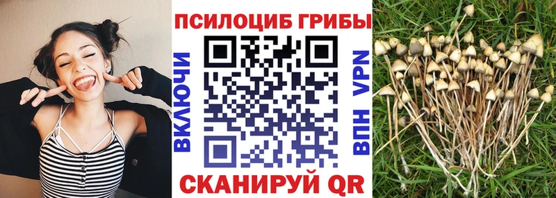ОМГ ОМГ сайт  Арамиль  Галлюциногенные грибы мицелий 